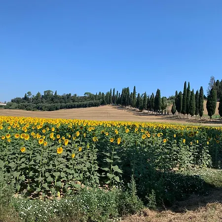 Daire Casa La Buriana